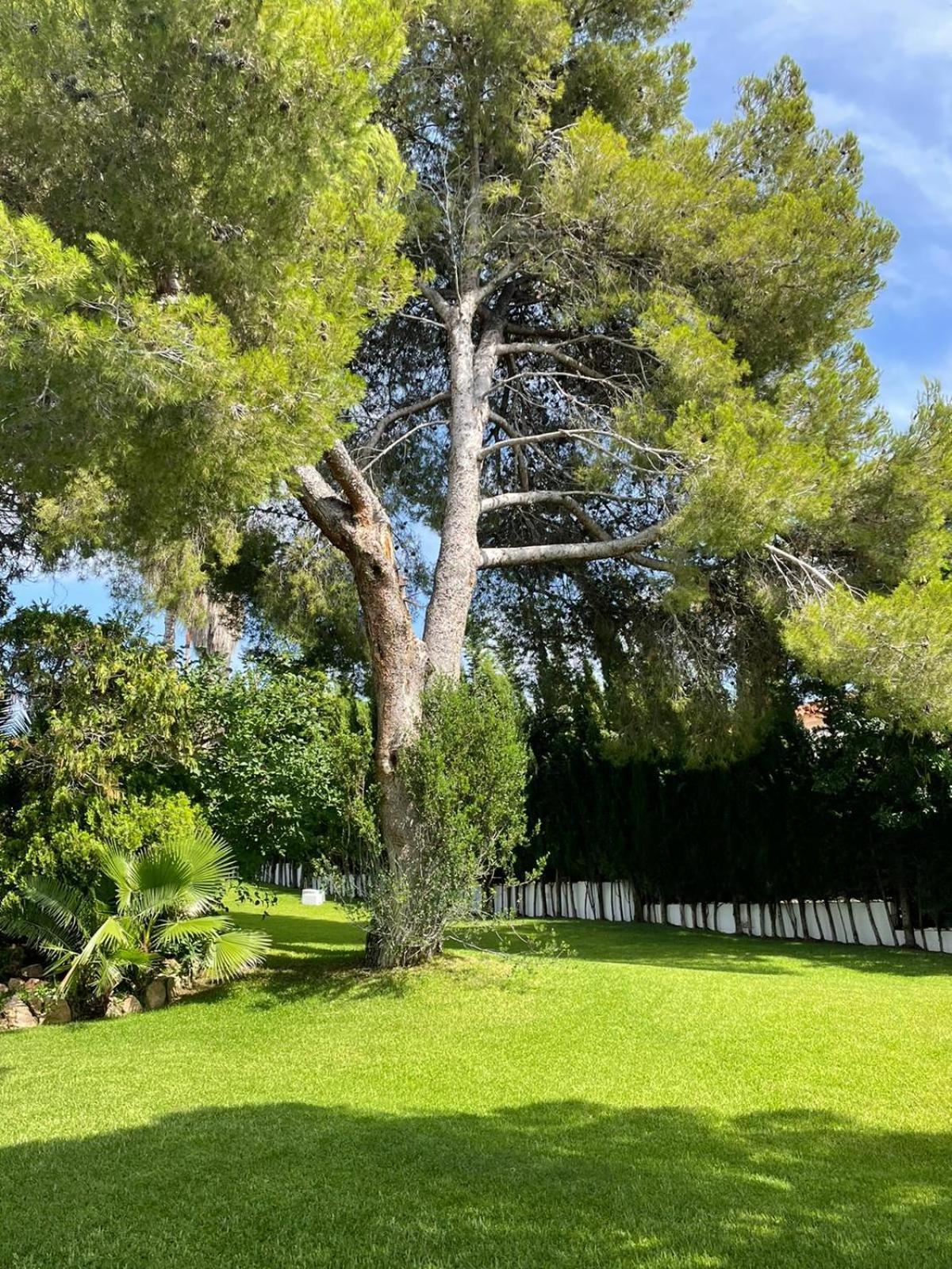 Casa Mediterranea Con Gran Jardin Y Piscina A 500 M De La Playa Roda de Bara Bagian luar foto